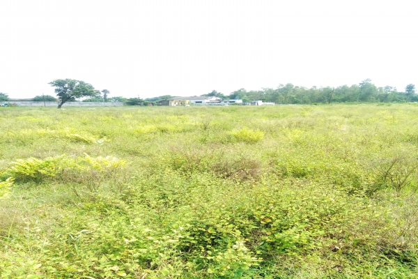 Langha Road (2).jpg